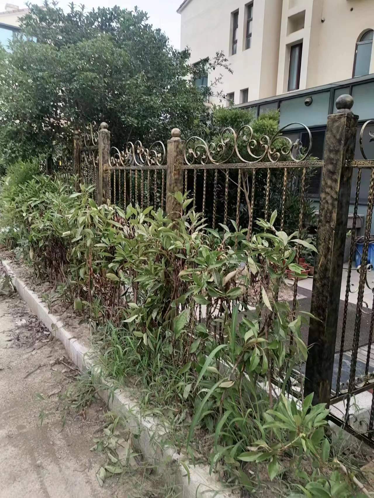 微信圖片_20231120113756.jpg