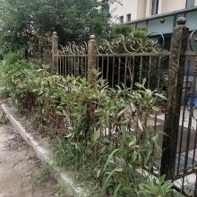 圍欄